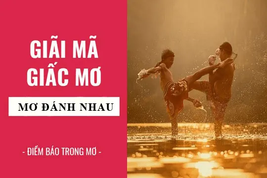 giai-ma-giac-mo-thay-danh-nhau-1-min_11zon