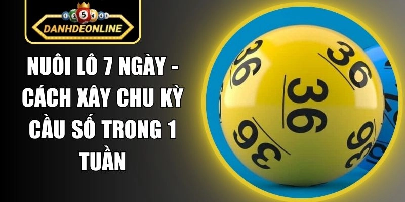 Nuôi Lô 7 Ngày